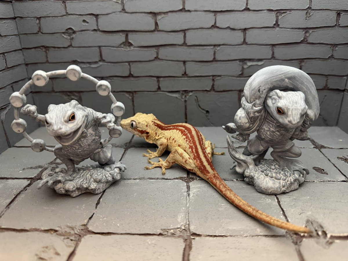 FandK 爬虫類木製ケージ (@mokusei_keiji_2) / Posts / X