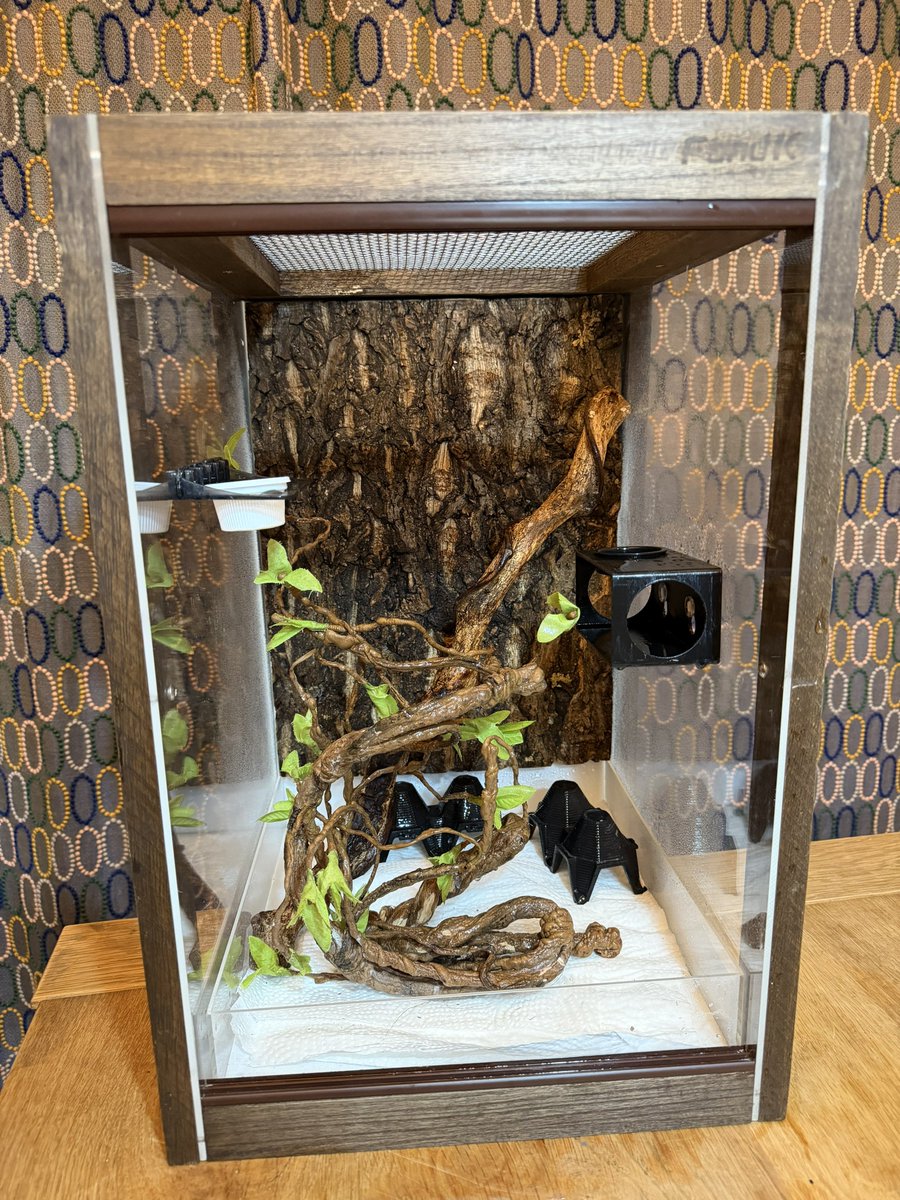 FandK 爬虫類木製ケージ (@mokusei_keiji_2) / Posts / X