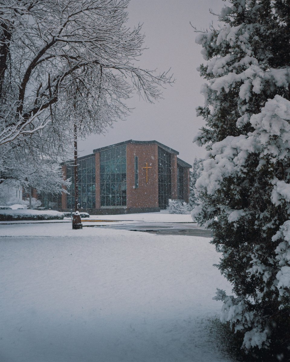 Thomas More University tweet media