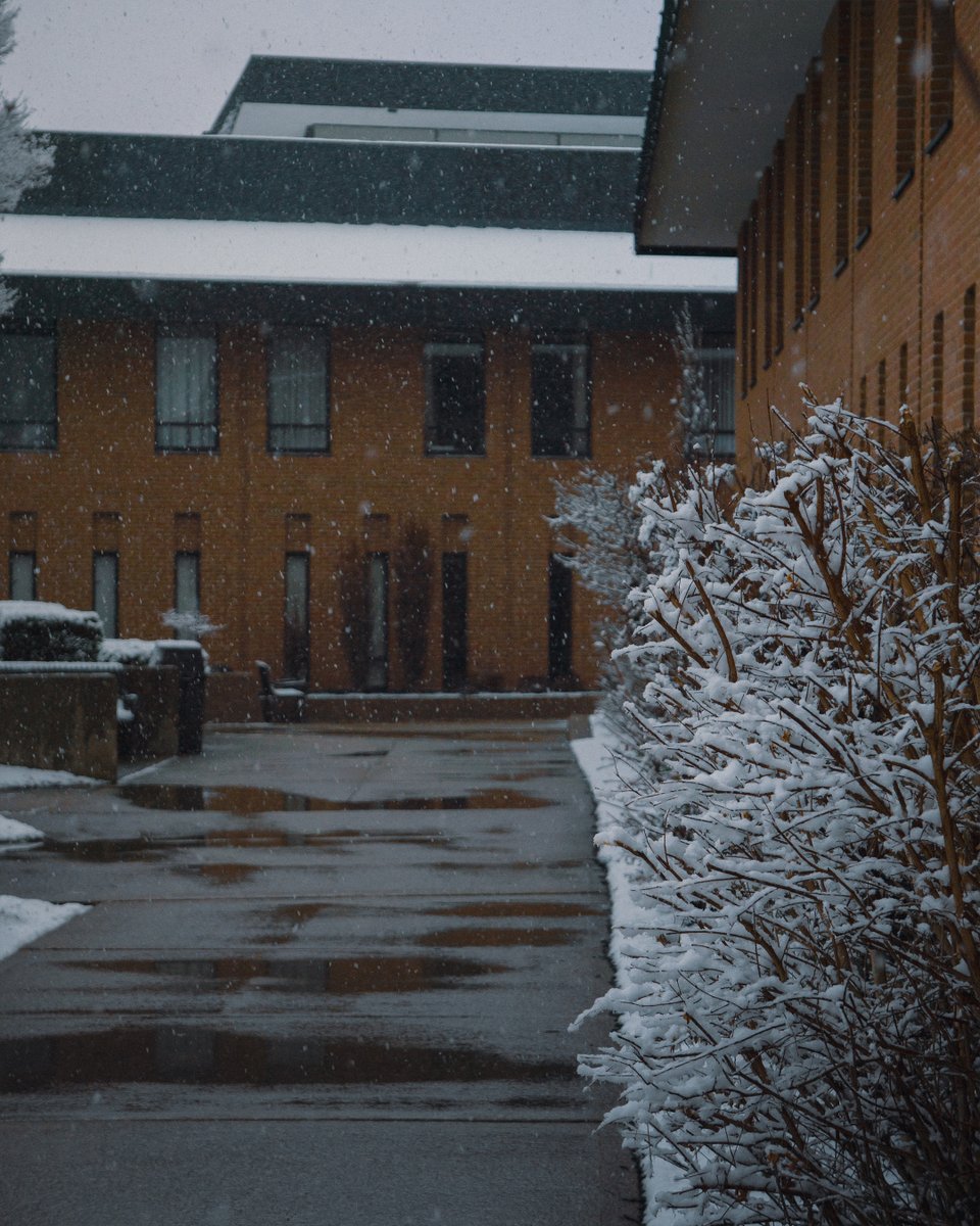 Thomas More University tweet media