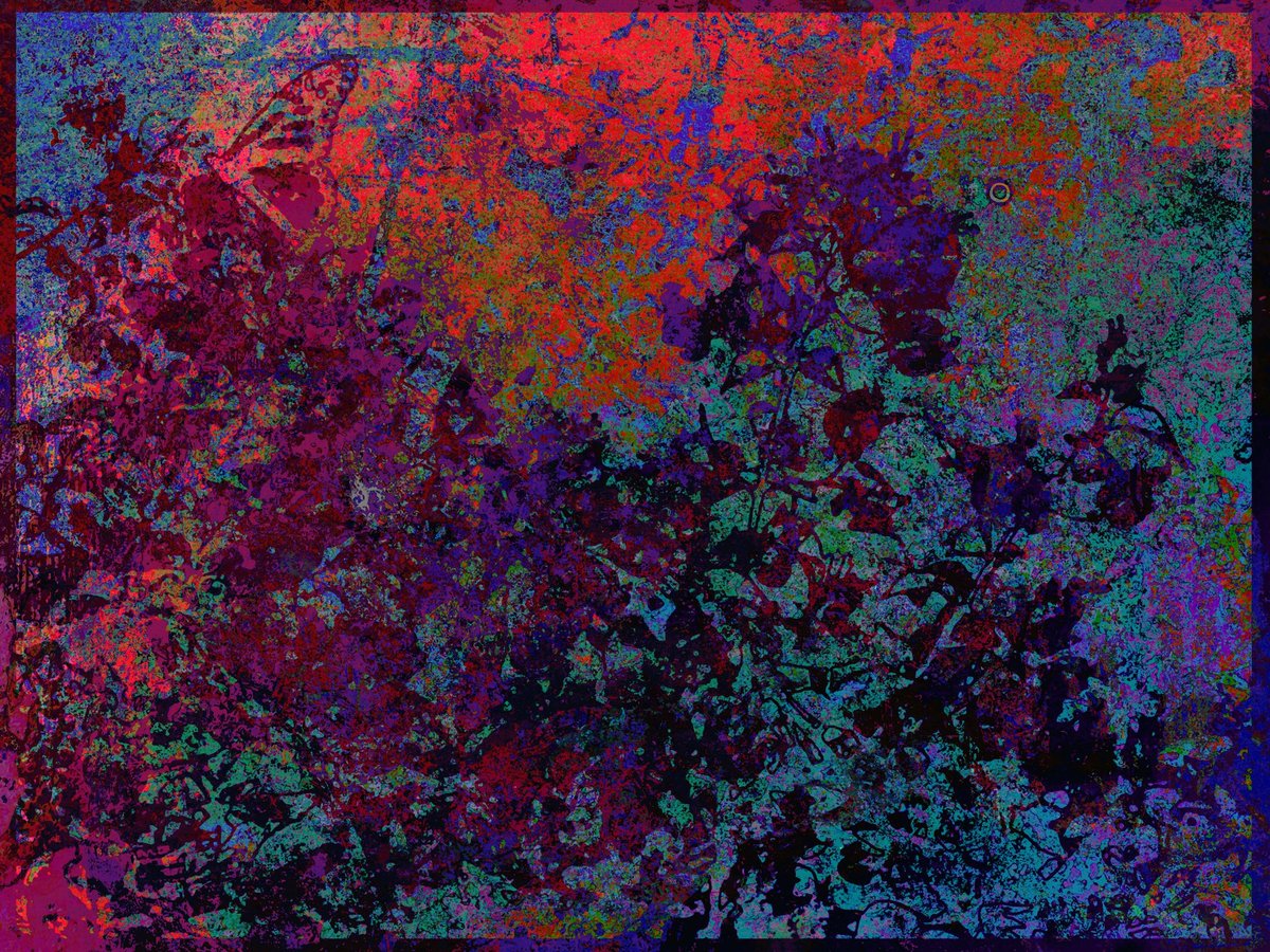 LitAndSmitten tweet media