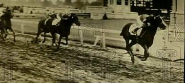 HORSERACING1002's tweet photo. FIRST PAGE๐บ๐ธ1943
(JOHNSTOWN โช๏ธ COZY TIME BY HIGH TIME)
#FirstPage
B/ Belair Stud (Ky) 1943
O/ H. G. Jones
T/ C. A. Bidencope
40-7-8-7---$30,810
Kentucky Oaks,
2nd Hannah Dustin H, Mermaid H,
Dam 10 foals, 7 winners,
Another Page (Challedon), French Page (Andre), Mabe Trader (War Admiral), Mrs Jo Jo (Andre), Page O'Music (Balladier), Pages Gem (Andre), Penny Fortune (War Relic), Speedy Page (Decathlon), Sunday Star (Alsab), Two-Gun-John (Whirlaway).
Died 1966