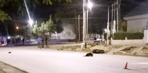 Dolor!!: adolescente falleció en un choque entre motos https://t.co/icpqbMdGG0