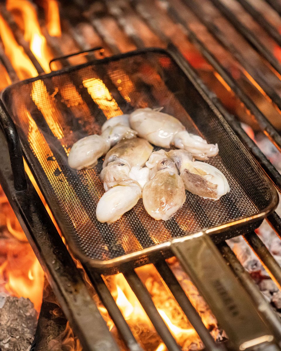 TOC AL MAR tweet media