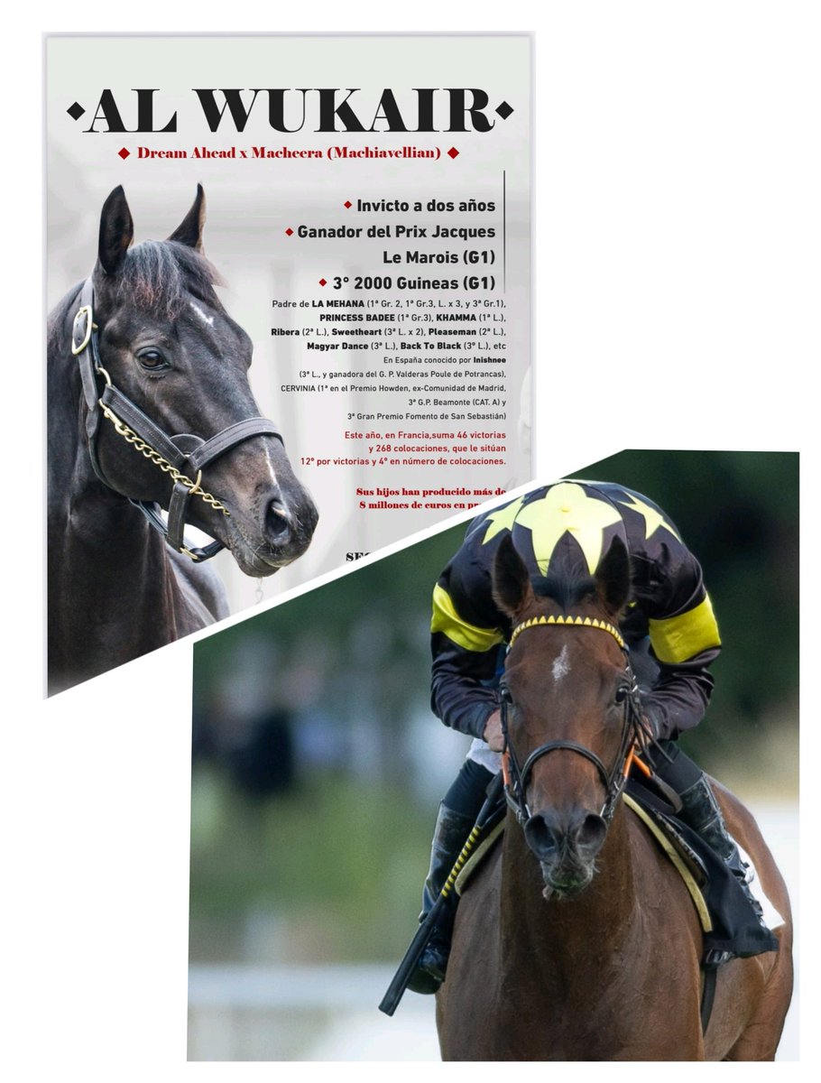 Ingrid_diaz tweet media