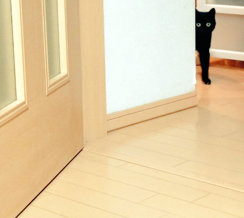 みっくん tweet media