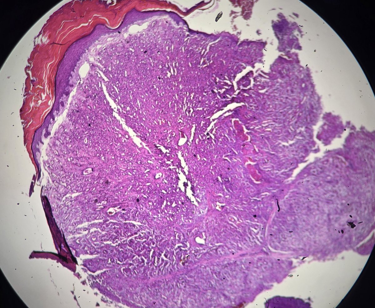 aung phyo tweet media