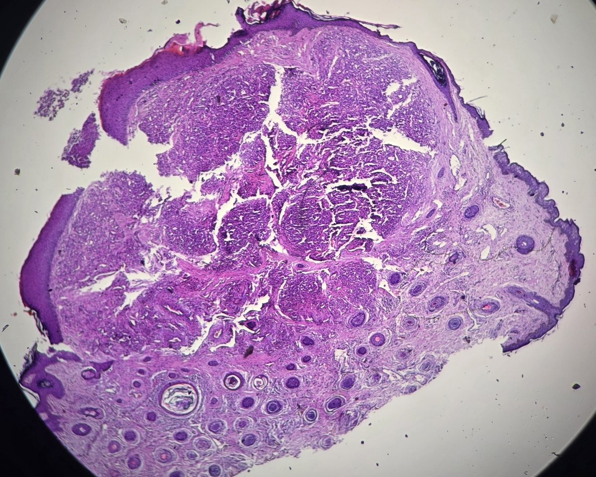 aung phyo tweet media