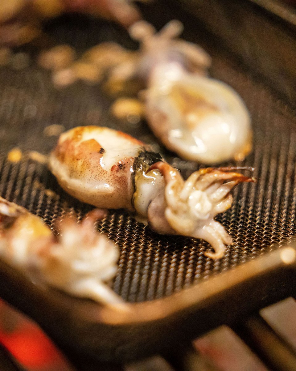 TOC AL MAR tweet media