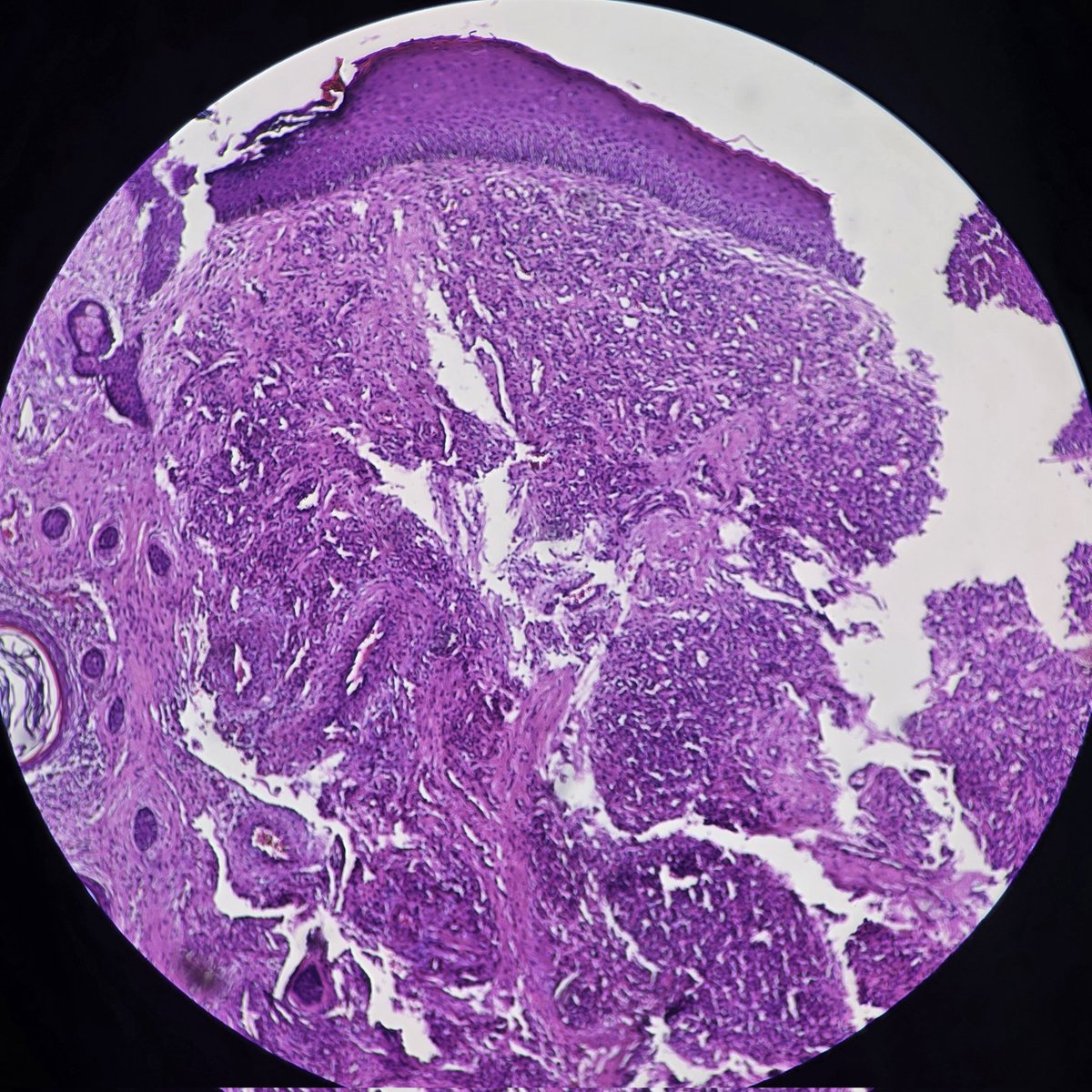 aung phyo tweet media