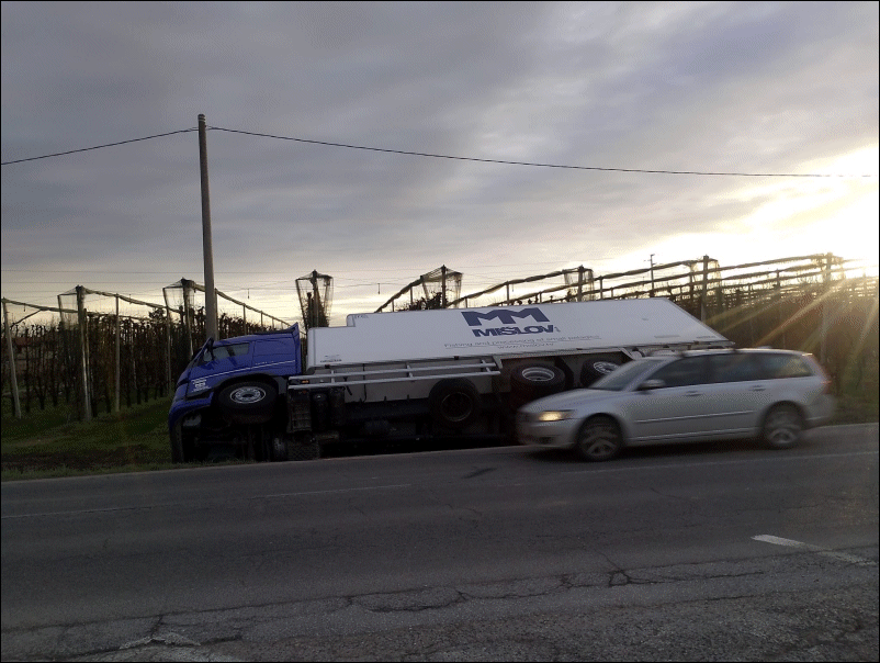 Faenzanet tweet media