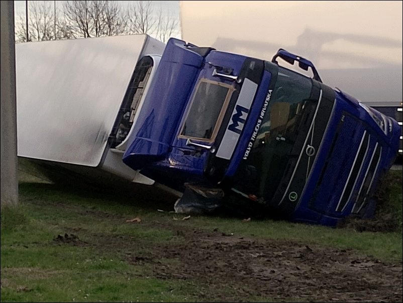 Faenzanet tweet media