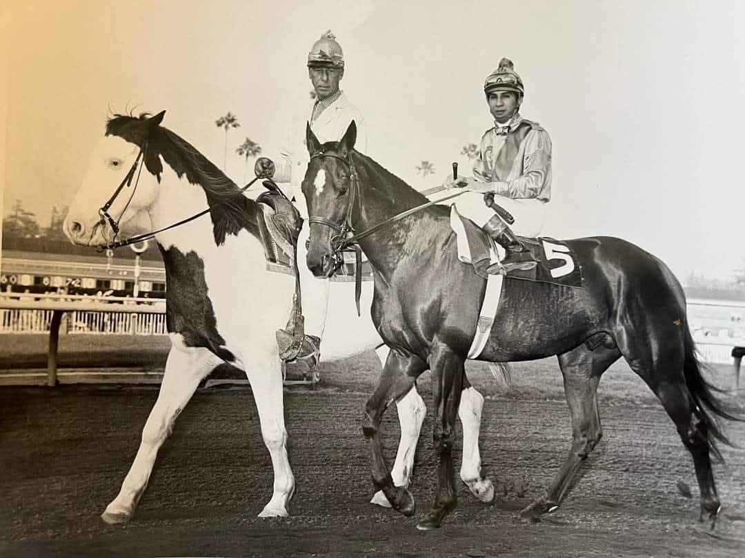 HORSERACING1002's tweet photo. NODOUBLE 🇺🇸1965
(NOHOLME II  - ABLA-JAY BY DOUBLE JAY)#Nodouble https://t.co/OD65Zh2M56
