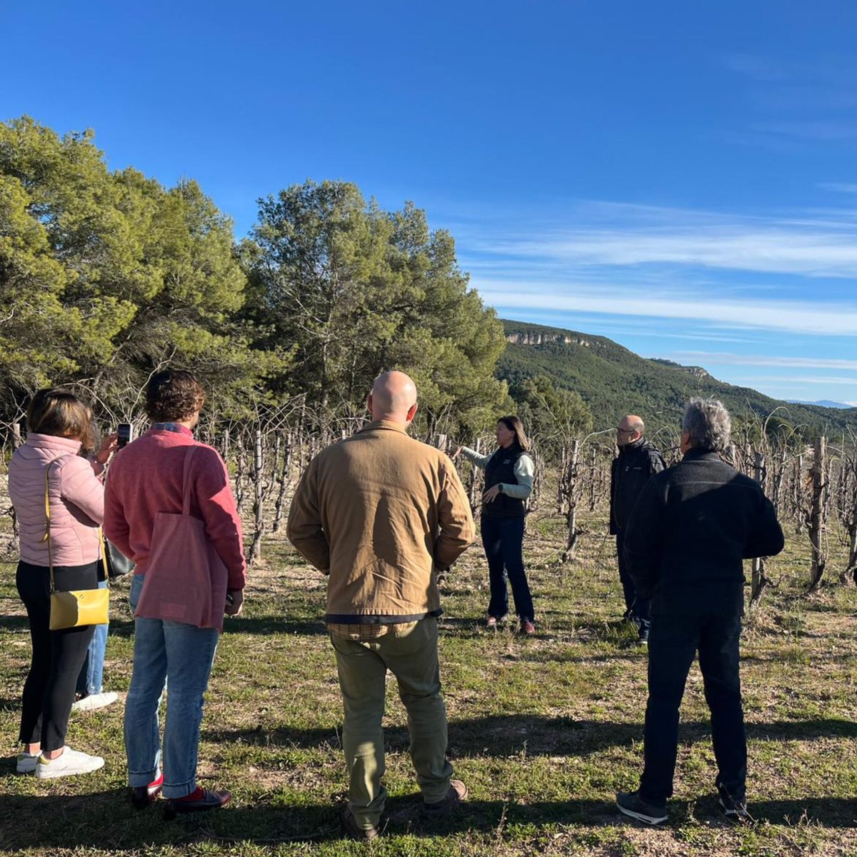 D.O. Cava tweet media