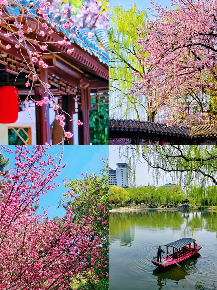huahua20000304's tweet photo. 接下来的北京，是一万次的春和景明🌷 #大美中国 #北京 https://t.co/vKa8ZHZhYa