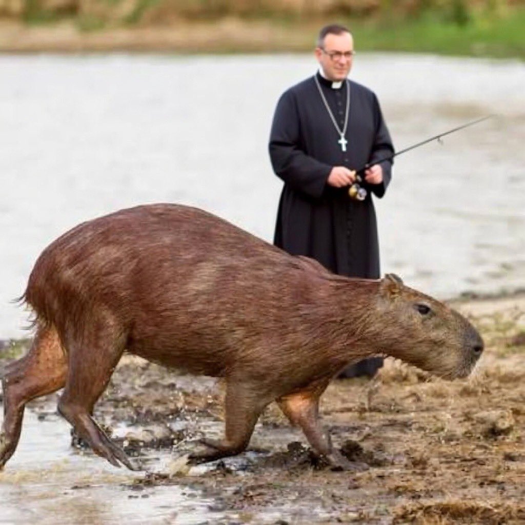 Hydra Bob tweet media