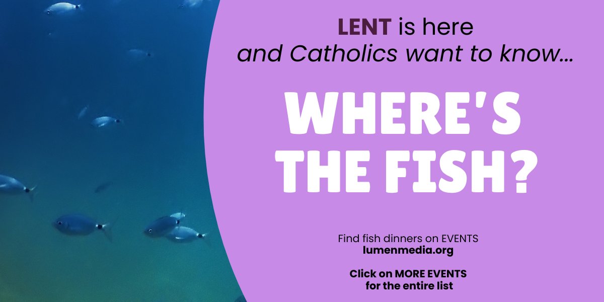 Diocese of Sioux City tweet media