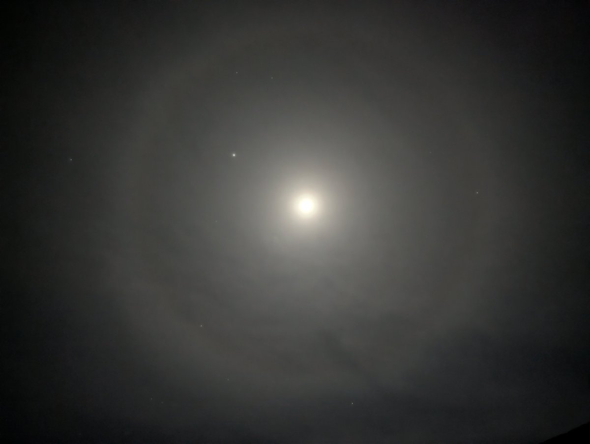 マカマカ@んだ！ tweet media