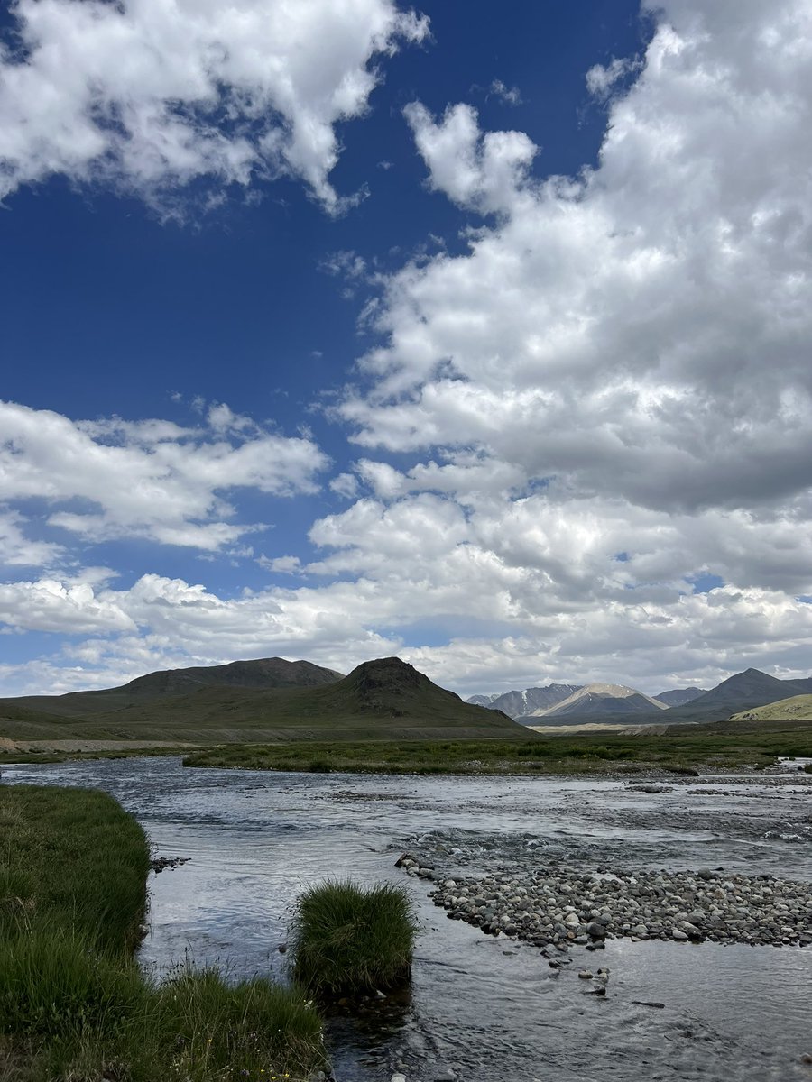 Sick of the world, but never sick of the Earth.