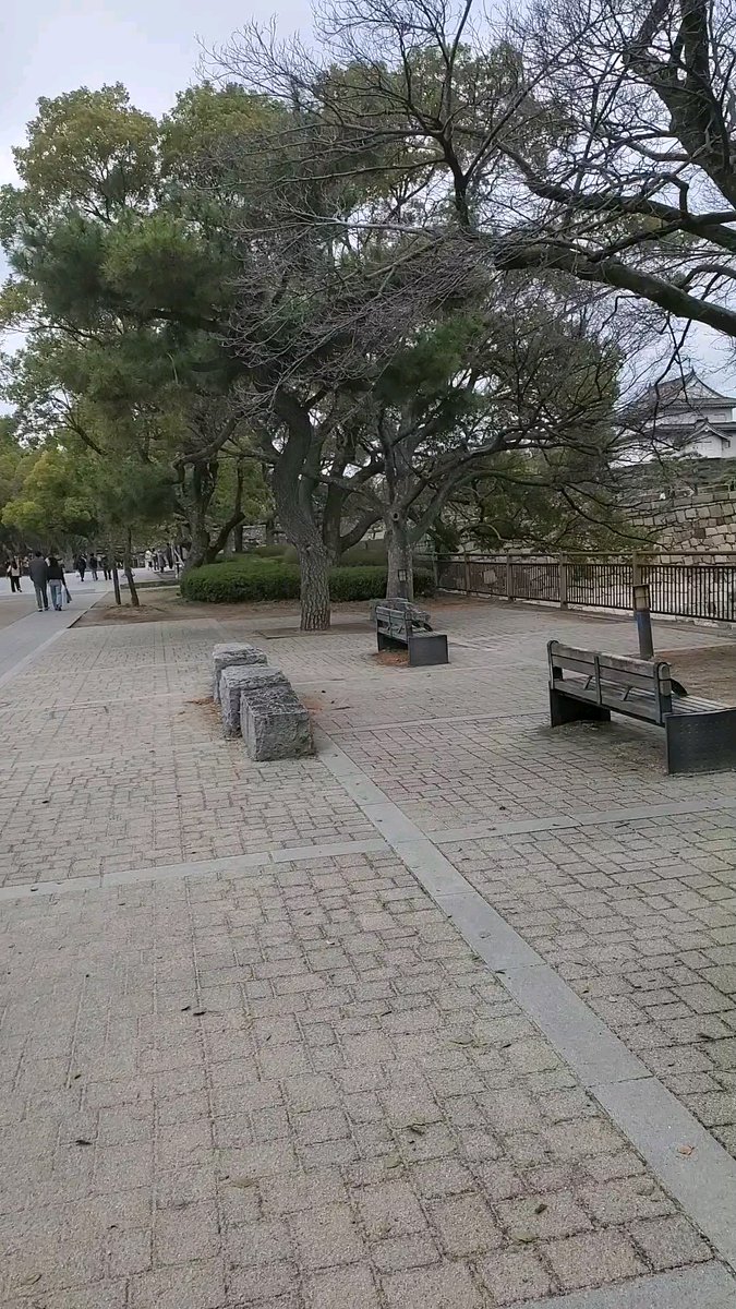 ichiban_os61908's tweet photo. 豊国神社に猿まわし見に行ってきました　幸ちゃんおもしかった🙆帰りベンチで休んでたら猿まわしの声が　結構とどくんやね　需要あるのかキャラクターのフィギア売ってました😃 https://t.co/pT4wY2VCfR
