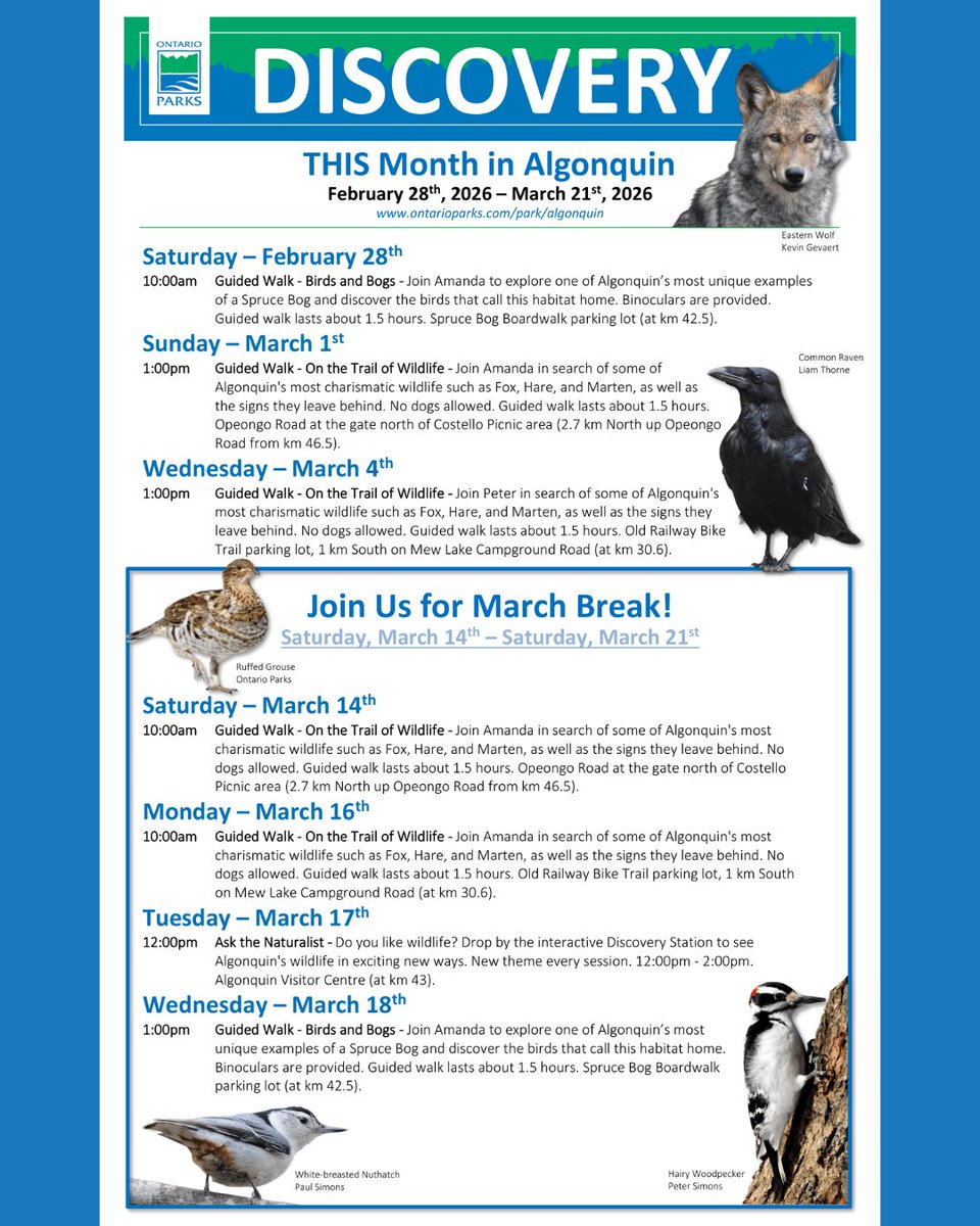 Algonquin Provincial Park tweet media