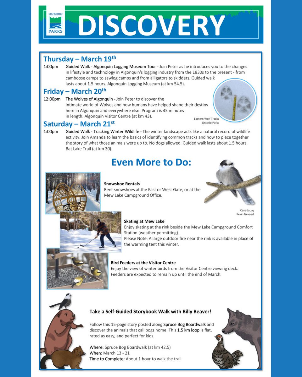 Algonquin Provincial Park tweet media