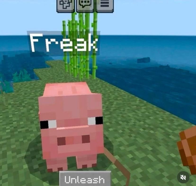 Vengożer tweet media