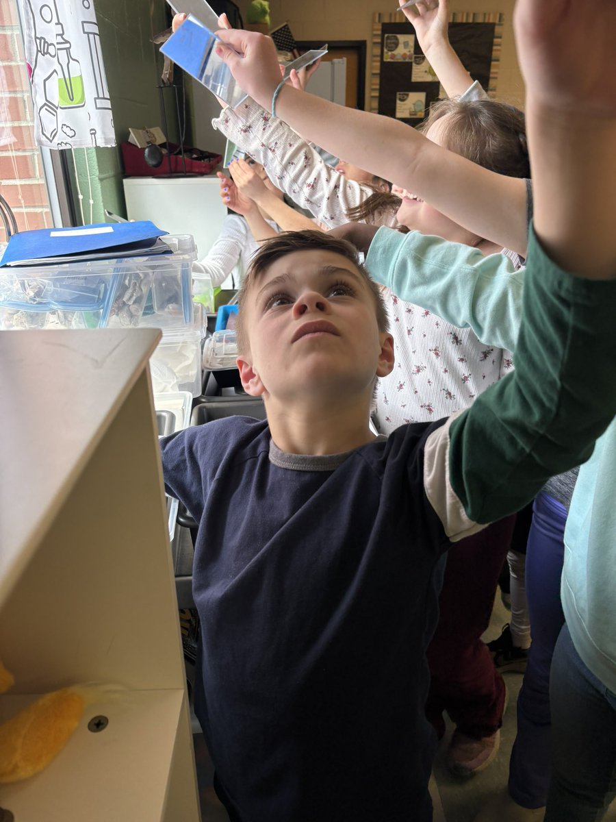 RNE LifeScience tweet media