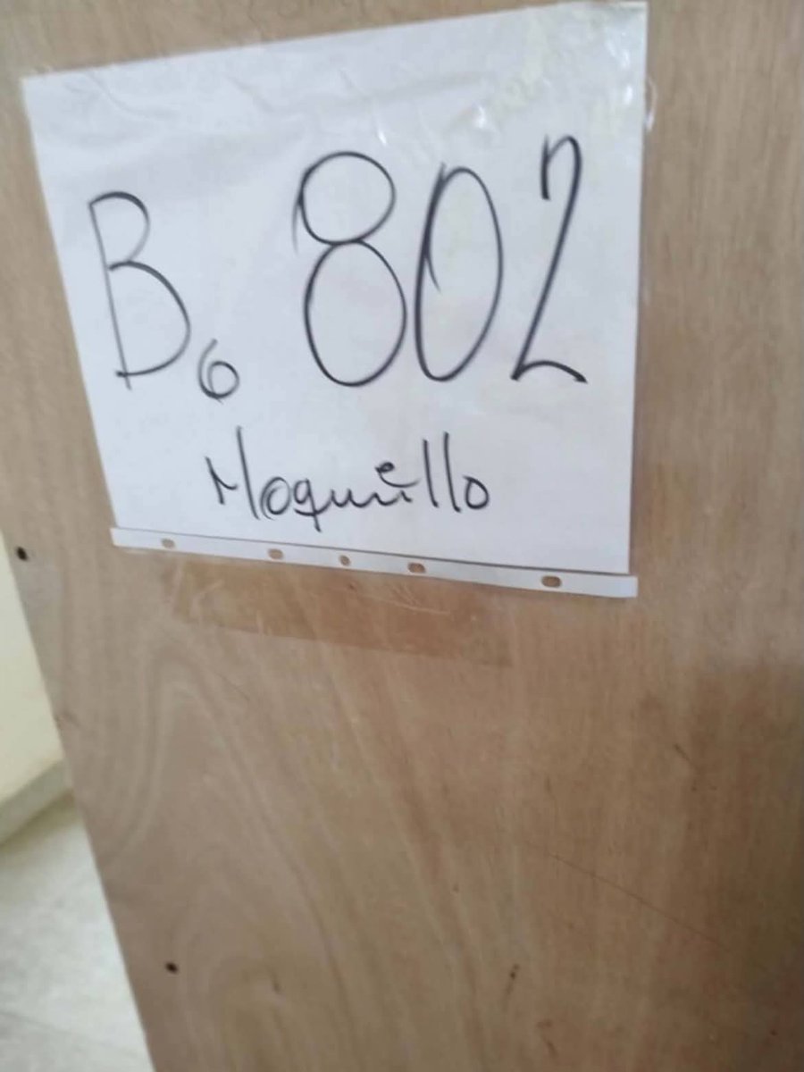 SPacheco60325's tweet photo. #FelizJueves Después de que le ningunearon a su gobierno,Clara Brugada pide que haya diálogo "extraurgente para resolver lo del Refugio Franciscano.Ya un Juez Federal dijo que hubo ilegalidad.Regrese a los peludos "extraurgente" así como los secuestraron si no seguirán muriendo https://t.co/4zVt0gTBuw