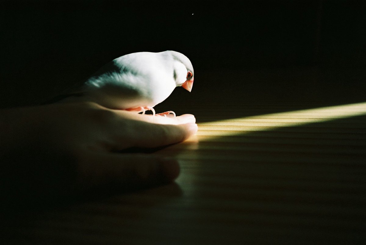 photomoimoi's tweet image. #punctumpc