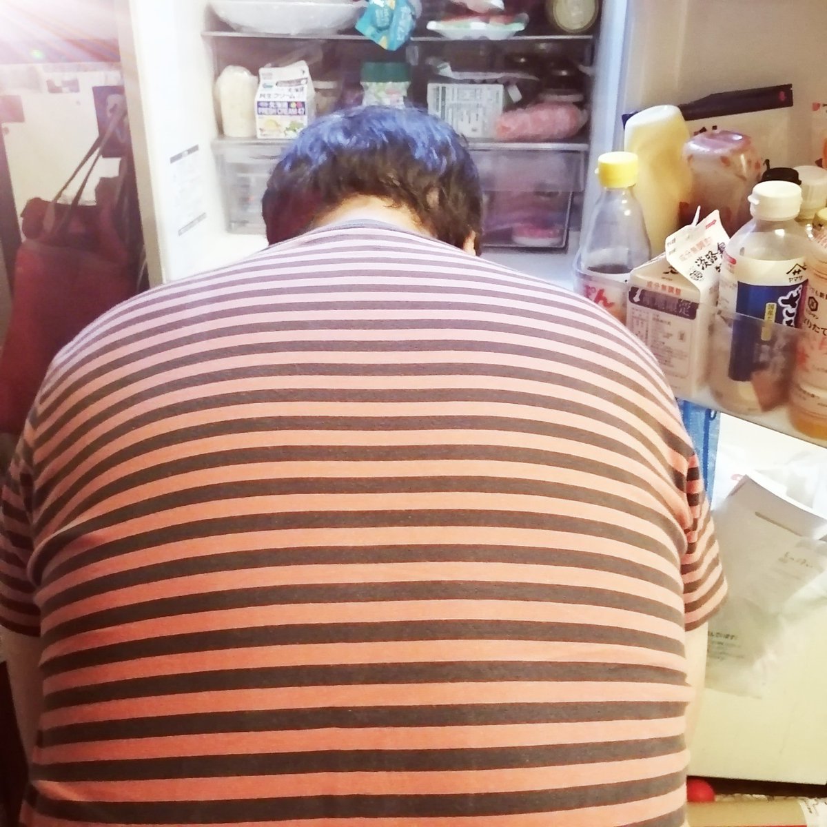 みんなたるさん好き過ぎ( ´～｀)
お誕生日おめでとうたる。
ありし日の冷蔵庫の前のたる。
大きな背中。
大好きやーーーー( ｀Д´)/