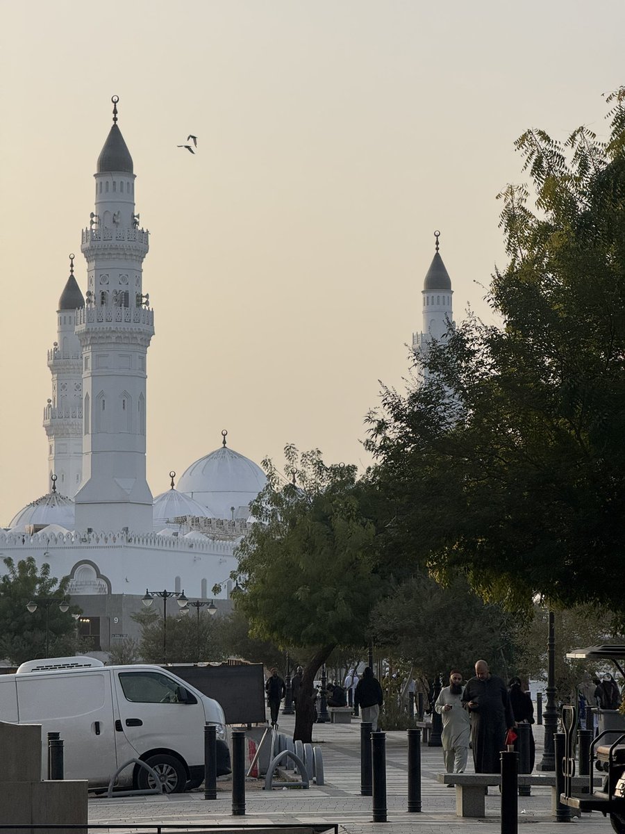 أسألُ اللهَ لي ولكم في ليلة الجمعة، أن يكتب لنا نصيبًا من رحمته يبدّل واقعنا إلى ما هو أفضل، وأن يغفر تقصيرنا ويصلح سرائرنا ويقوّي عزائمنا.. 
وصلِّ اللهم وسلّم على نبينا محمد.