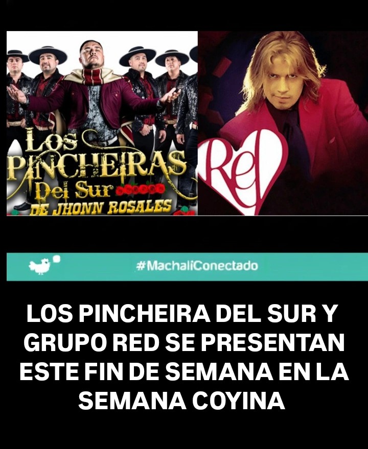 MachaliConectado.cl tweet media