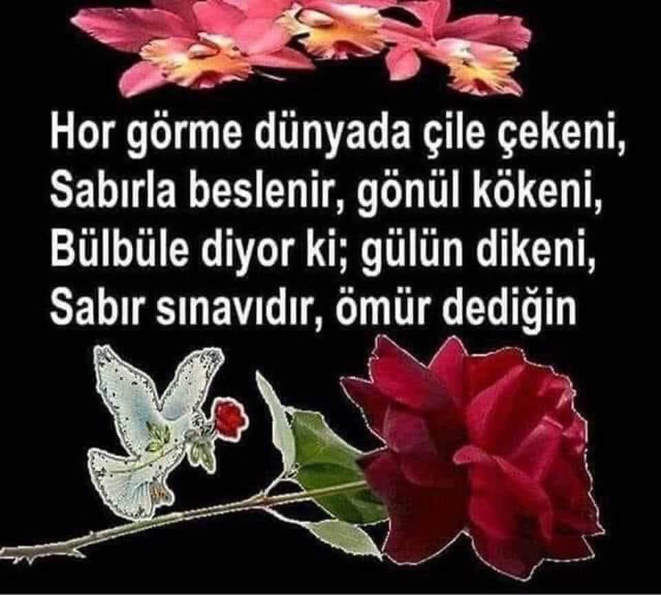 ahiret icin calısan (@cukadarzab1749) on Twitter photo 