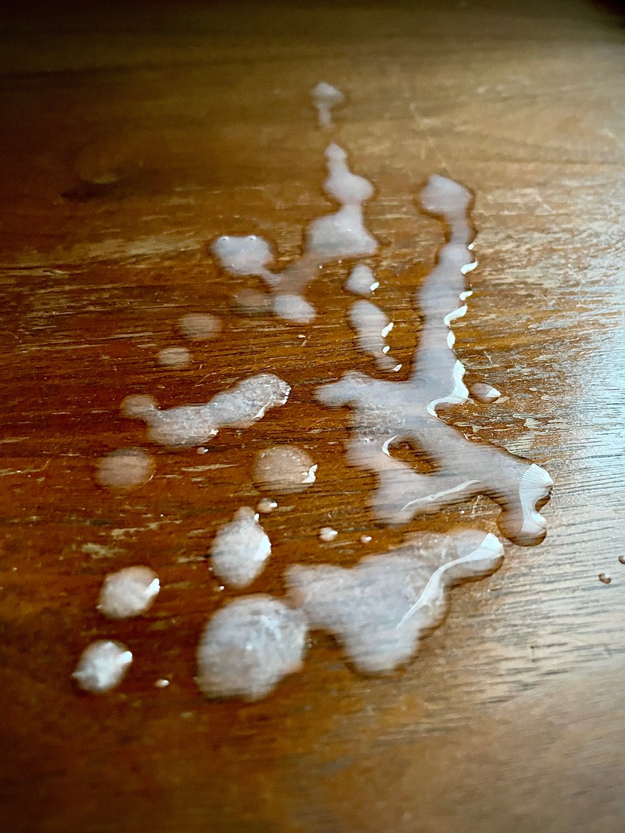 nudehosting's tweet photo. sometimes the guest room furniture needs cleaning 💦👅
https://t.co/bTmWqWJ9oj https://t.co/dogGXCdqCI