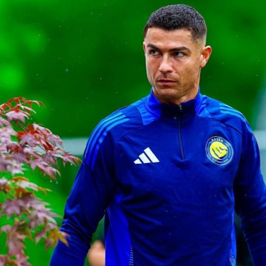 El astro portugués Cristiano Ronaldo ha adquirido el 25% de la Unión Deportiva Almería, que es tercero en la tabla de la segunda división española.