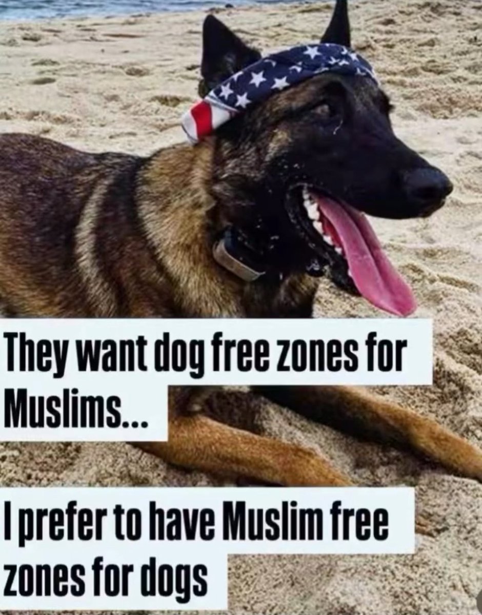 👍👍👍

👇👇👇