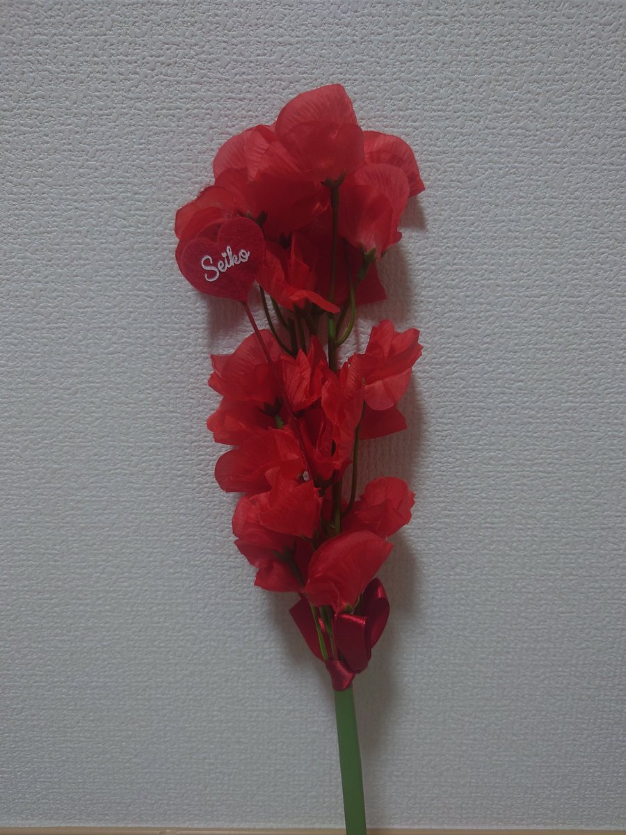 赤いスイートピー持ってます。 花びらが抜けちゃうんですよね