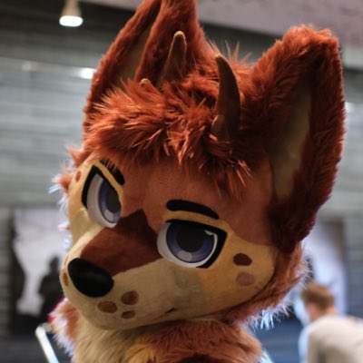 Ce 🔜AWOO26 tweet media