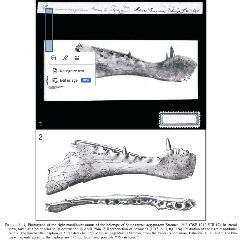 Fossil Crates 🦖🦕 tweet media