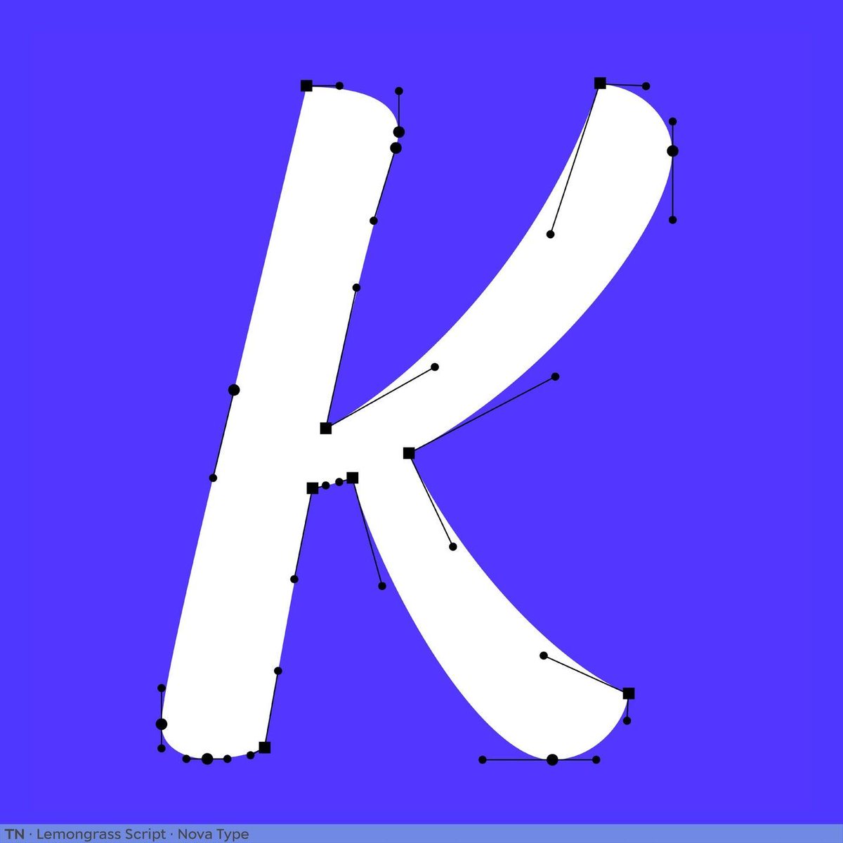 Type Network tweet media