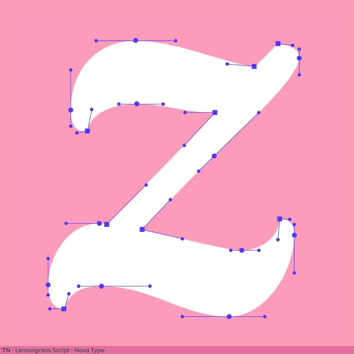 Type Network tweet media