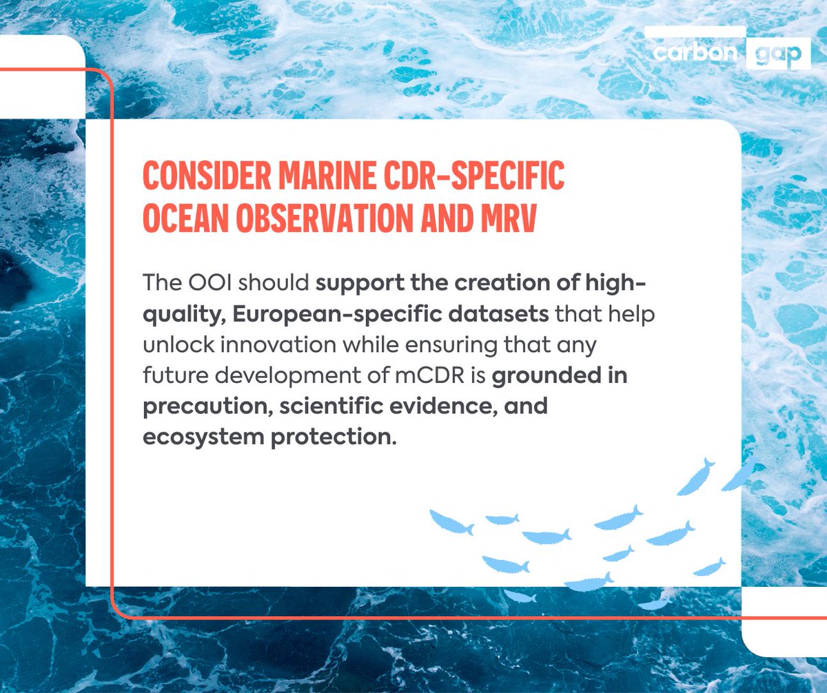 Carbon Gap tweet media