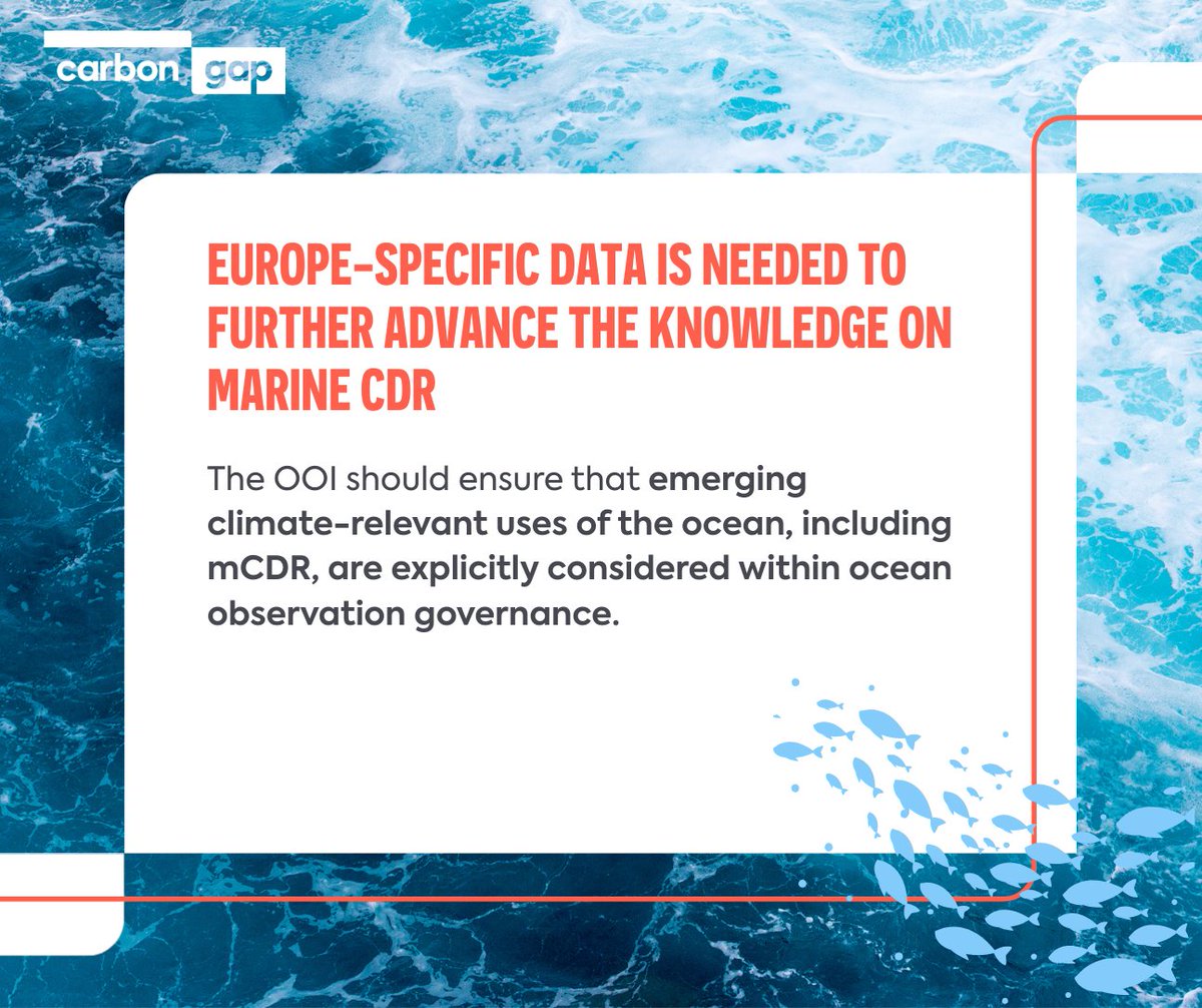 Carbon Gap tweet media