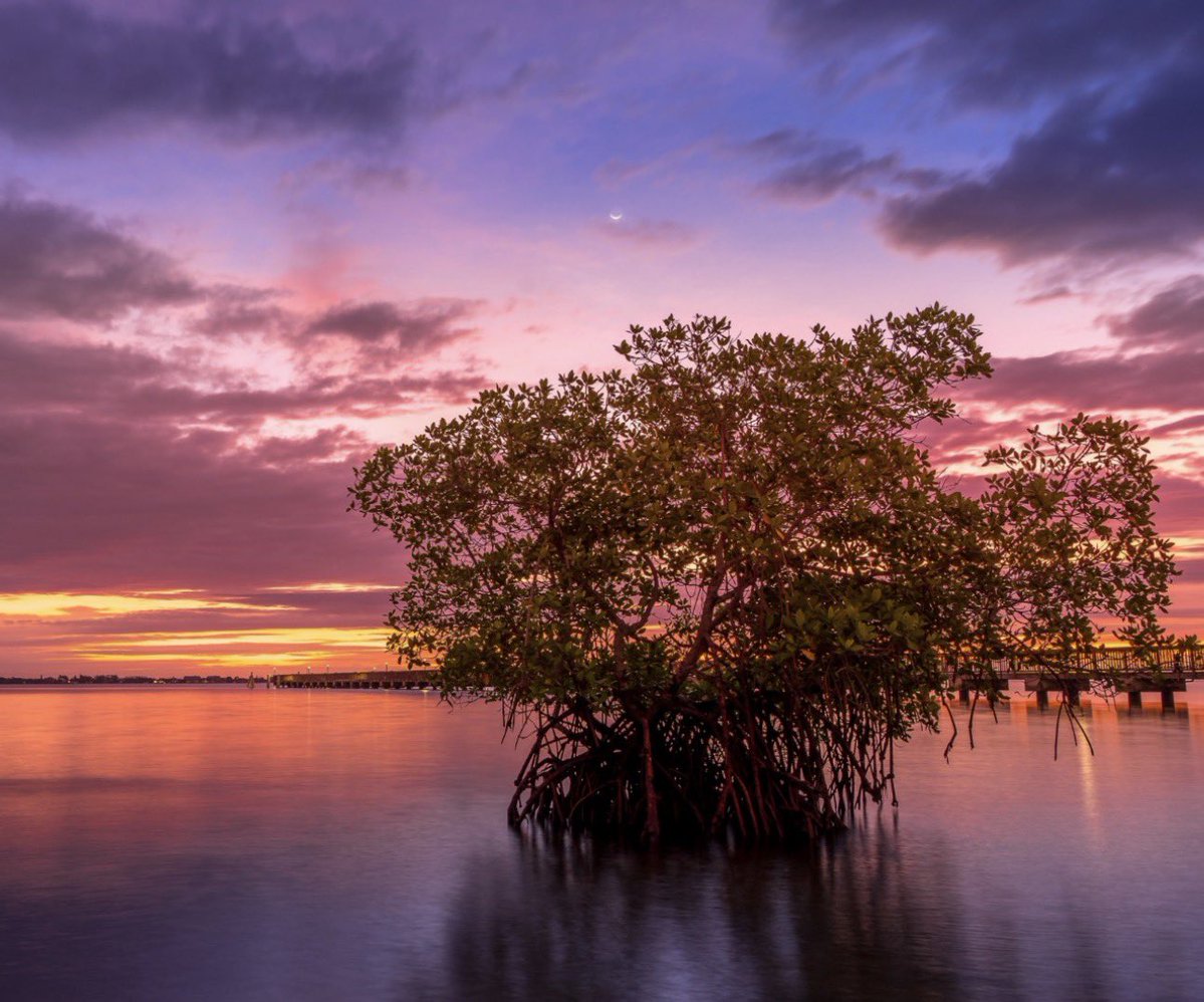 DiscoverMartin tweet media