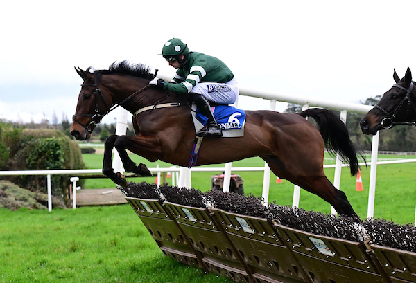 Willie Mullins tweet media