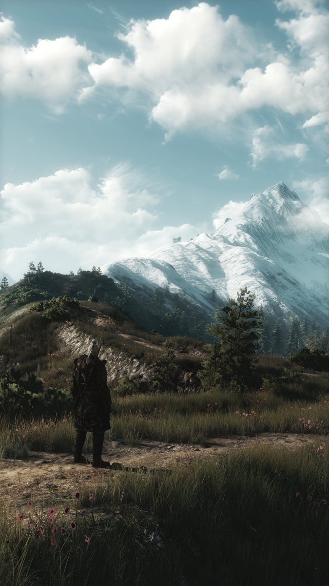 ZeroKing tweet media