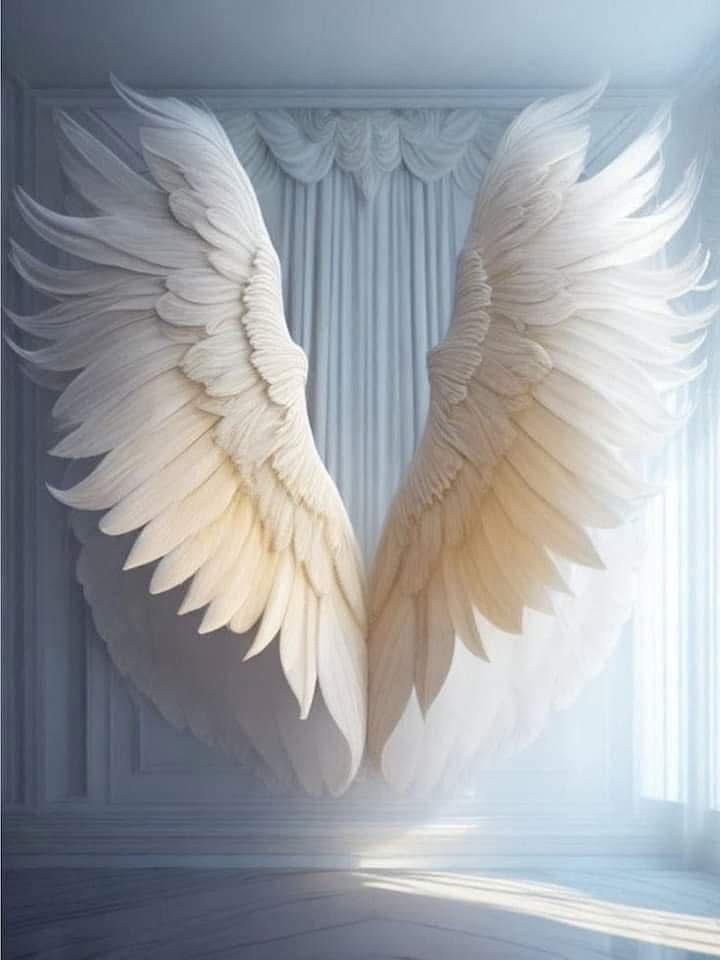 KenobiMarlene's tweet photo. ✨Decreto de Manto de Protección del Arcángel Gabriel 🤍🪽✨🙌🏼

"Arcángel Gabriel cúbreme con tu manto de invisibilidad para que nada negativo, me toque, cúbreme para que me protejas de personas negativas, de envidias, magias negras o malignas, enfermedades y todo tipo de energías negativas o dañinas.

Envía tu manto de invisibilidad a mis hijos, pareja, madre, padre, hermanos, y todos mis seres queridos para que los proteja de personas negativas y toxicas, enfermedades, magias negativas de cualquier tipo o de cualquier cosa diferente del amor de dios y a su pureza. 

Asciende, asciende, asciende, todo lo negativo y protege, protege, protege a mi, a mis seres queridos y cúbrenos con tu manto blanco de invisibilidad, y asciende todo lo negativo a la pureza, la alegría, acción positiva, amor, empleo, prosperidad , que así sea aquí y ahora. 

Gracias Amado Arcángel Gabriel porque está hecho.🤍🪽✨