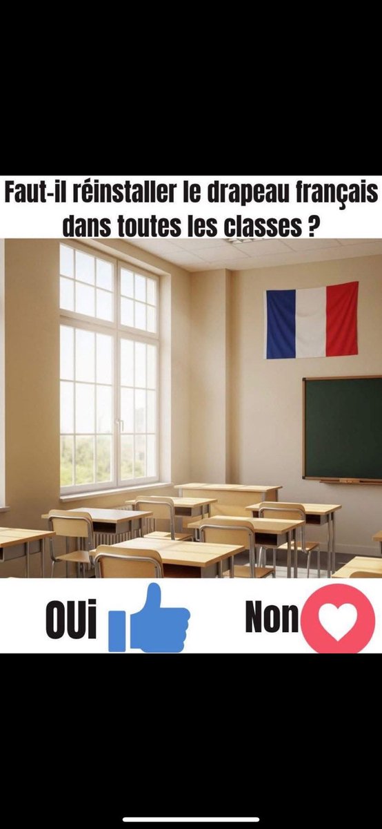 plongrade's tweet photo. Qu’en pensez-vous ?
Et chaque matin, le lever de drapeau dans la cour de l’école. https://t.co/bUqCGC3mVB