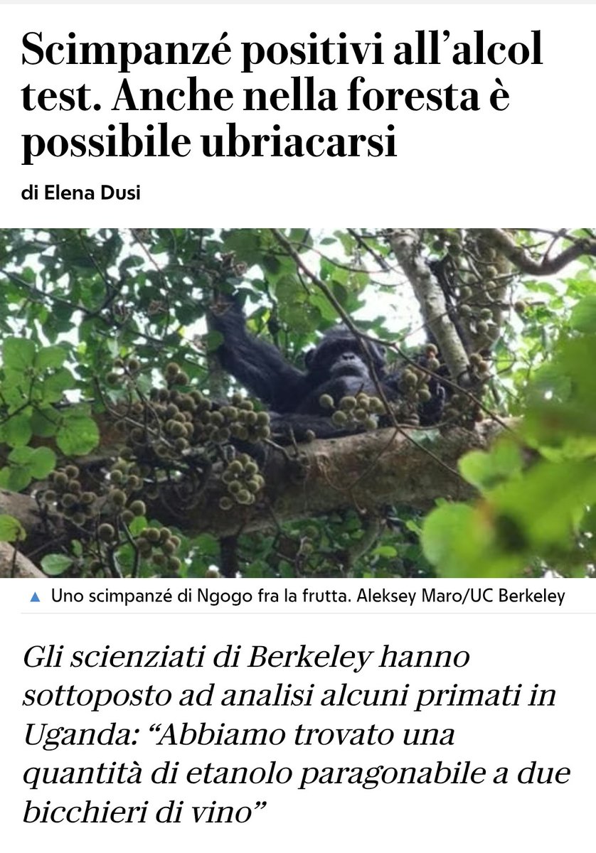 #animali 
#natura ubriaca...
repubblica.it/cronaca/2026/0…